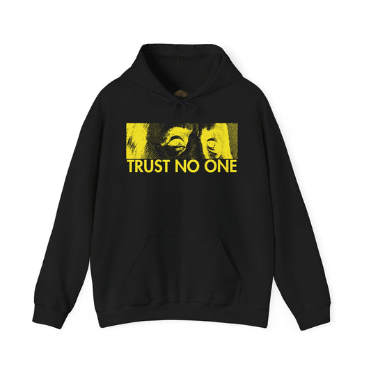 retro 5 "TOKYO" Varsity Maize and Wolf Grey hoodie- trust no one