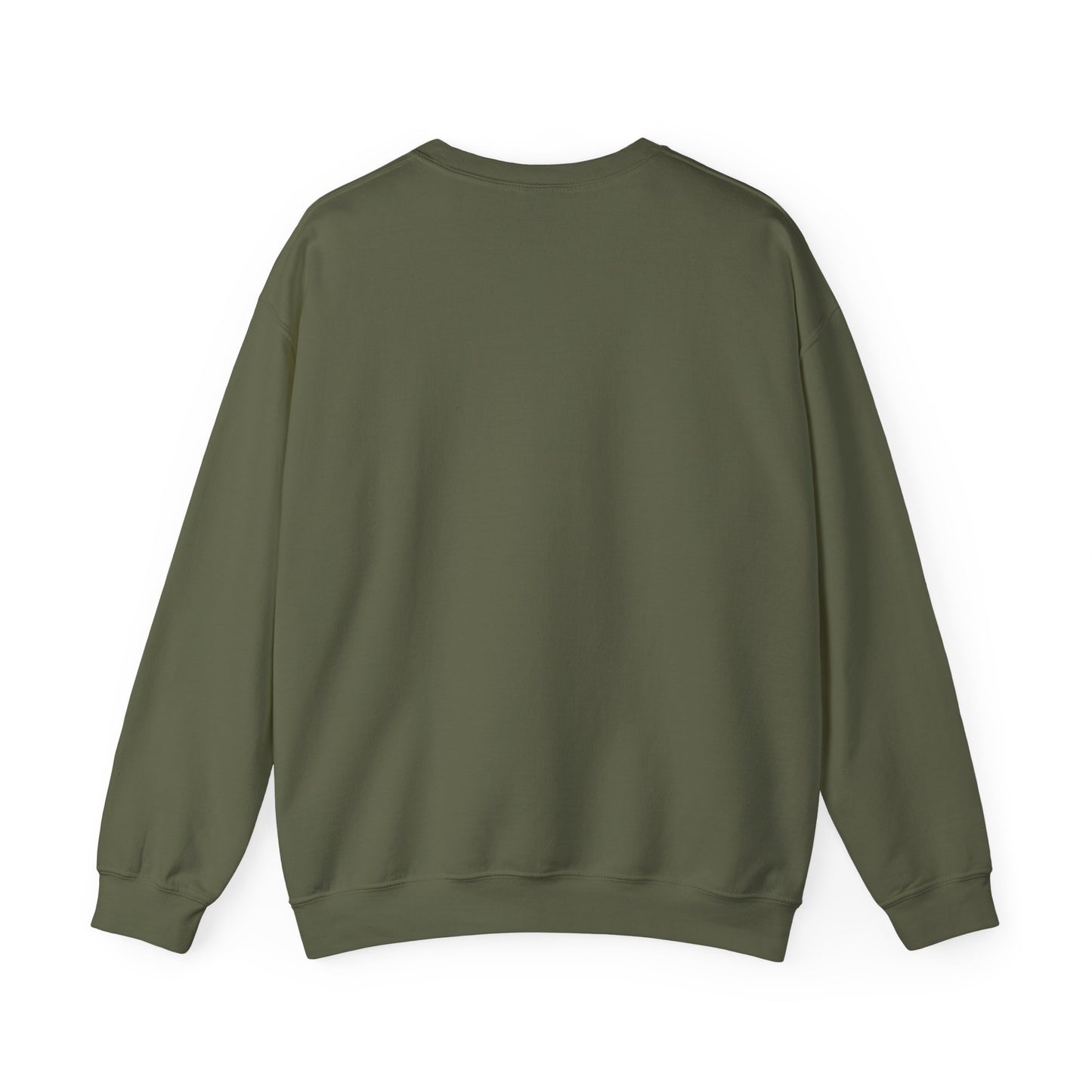 Retro 3 EL VUELO Summit White and Pine Green SweatShirt - BLESSED
