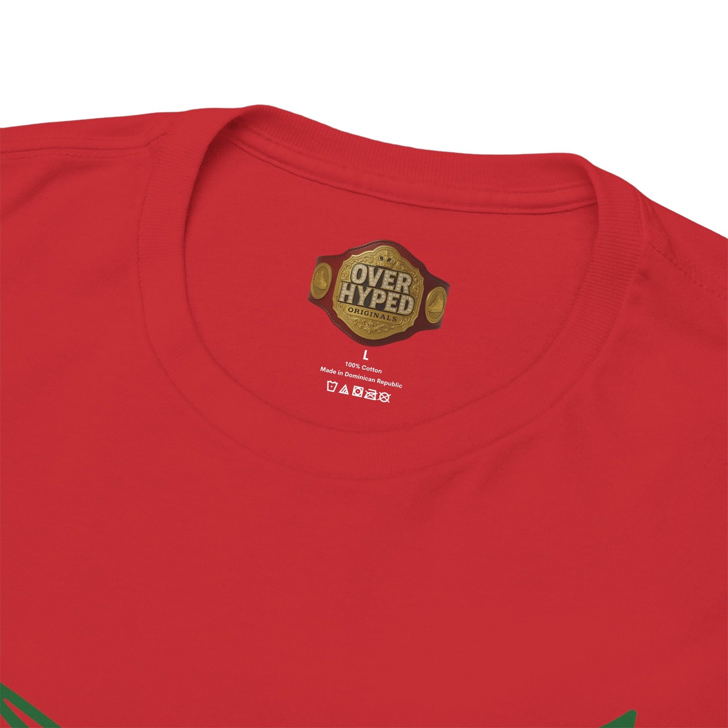 Retro 3 EL VUELO Summit White and Pine Green Shirt - SANTOS VUELA