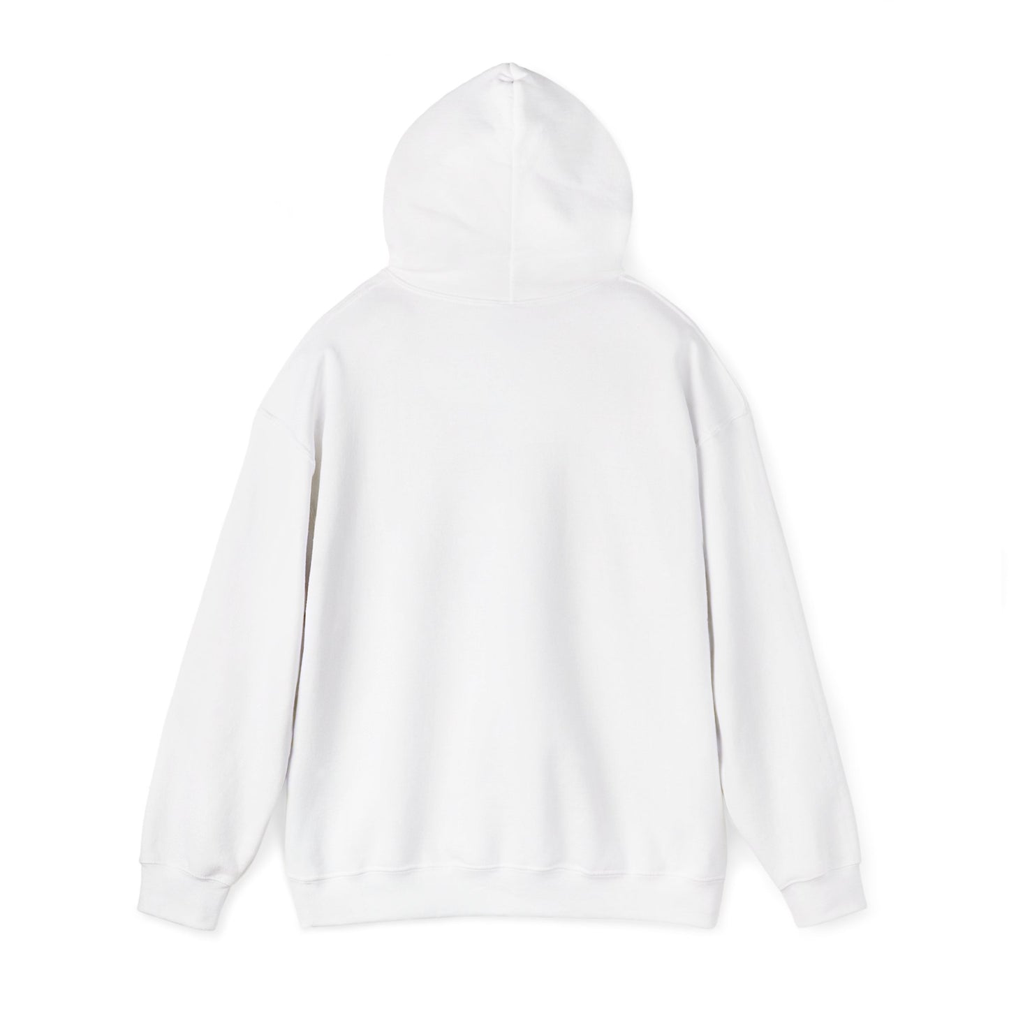 Retro 3 EL VUELO Summit White and Pine Green Hoodie -  Santo Vuela