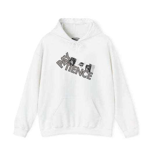 Retro 9 Cool Grey- PayTience Hoodie