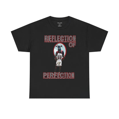 Retro 3 Black Cement / White Cement  Reflection of Perfectioon Shirt