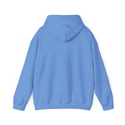 Retro 5 Black Metallic My Retro Card (Grey) Hoodie