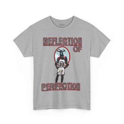 Retro 3 Black Cement / White Cement  Reflection of Perfectioon Shirt
