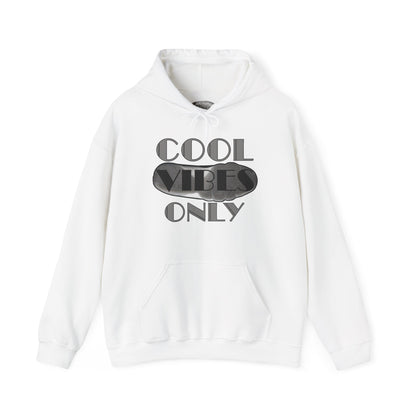 Retro 9 Cool Grey- Cool Vibes Only Hoodie
