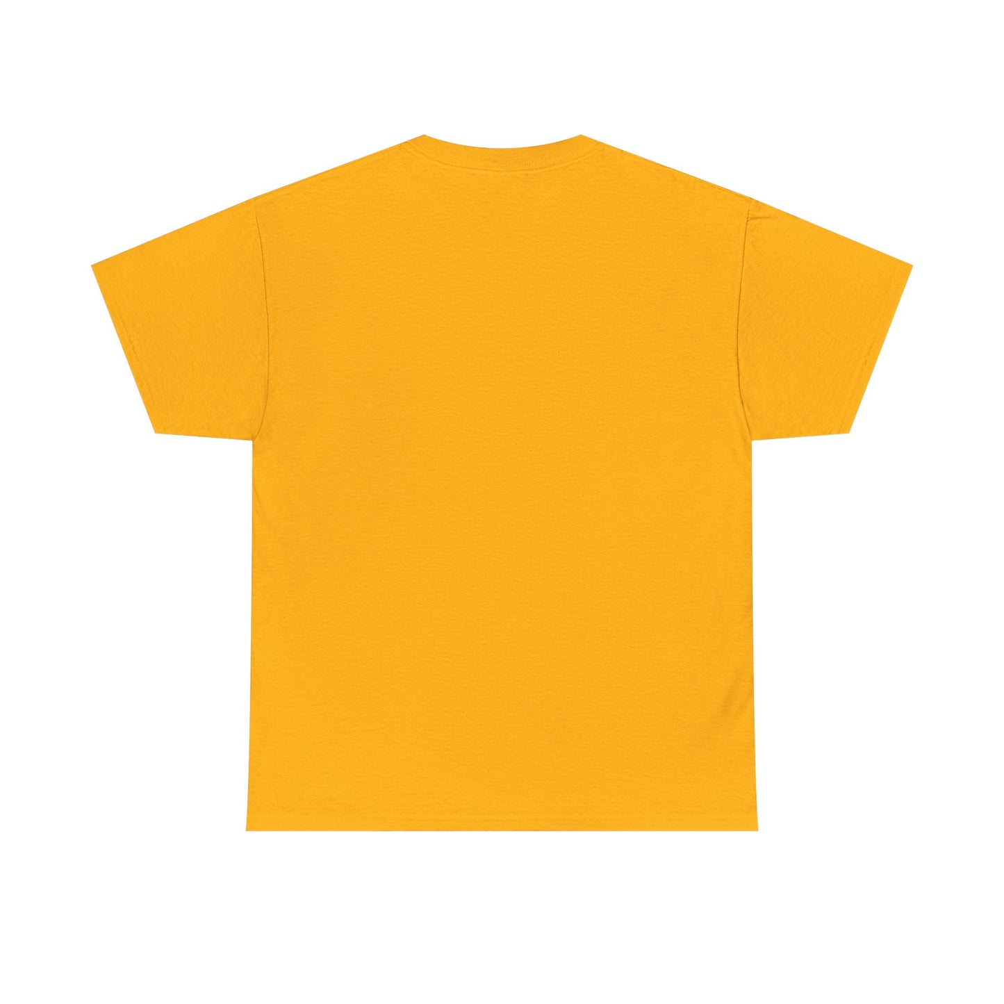 Protro 4 Gold Blessed highly favored Shirt