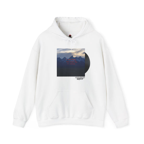 Hoodie To Match Retro 4 Flight Club Sail and Black-AWESOME