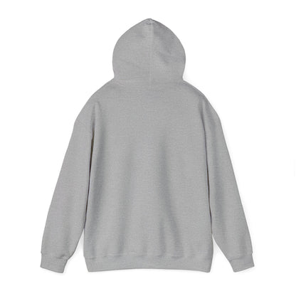 Retro 5 Black Metallic My Retro Card (Grey) Hoodie