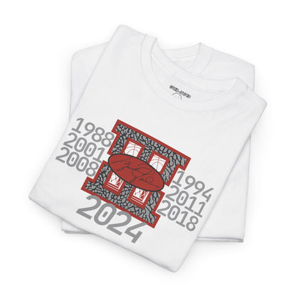 Retro 3 Black cement/ White Cement 88 To 24 Shirt