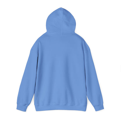 Retro 5 Black Metallic My Retro Card (Grey) Hoodie