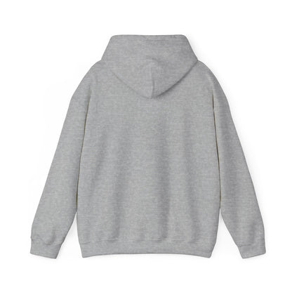 Retro 5 Black Metallic My Retro Card (Grey) Hoodie