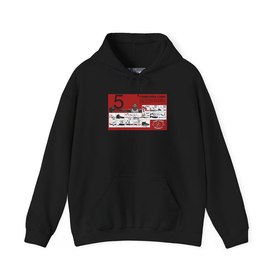 Retro 5 Black Metallic My Retro Card (Red) Hoodie