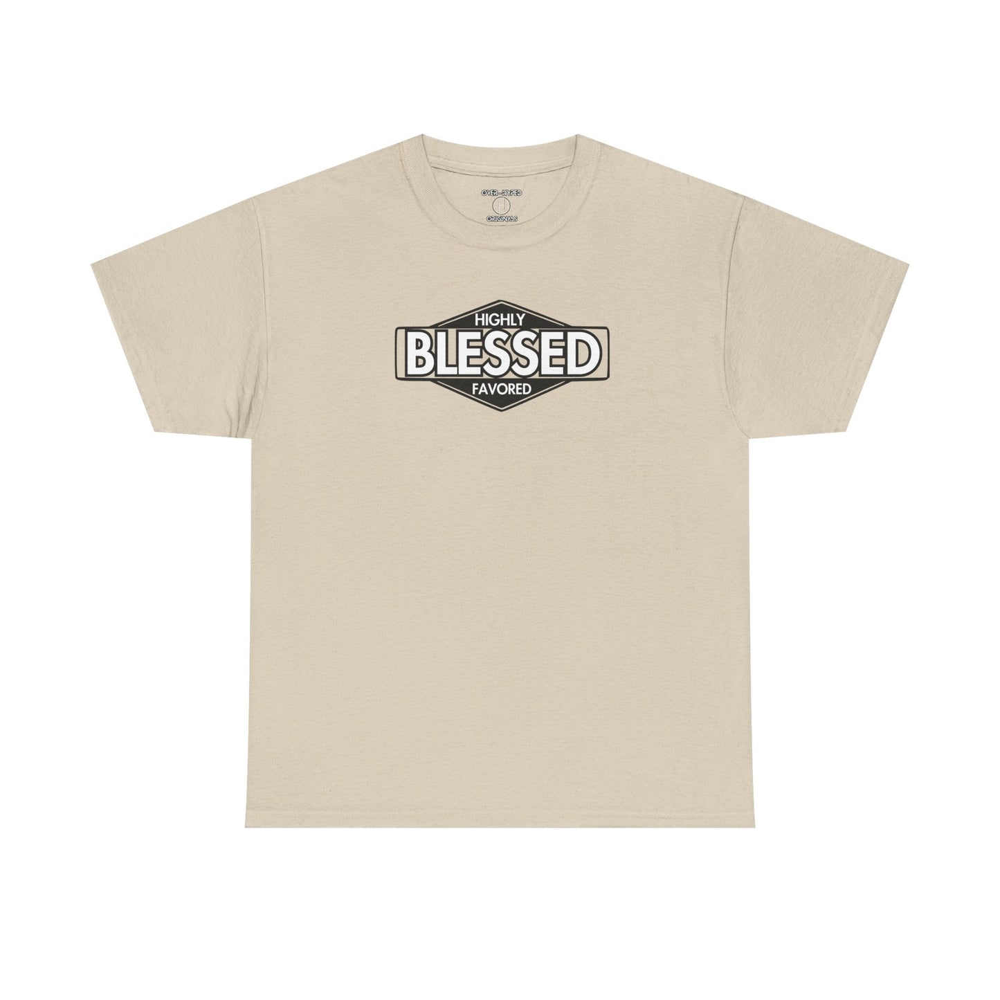 Protro 9 Halo / Retro 4 White Thunder - Blessed Highly Favored Shirt