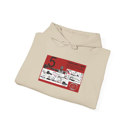 Retro 5 Black Metallic My Retro Card (Red) Hoodie