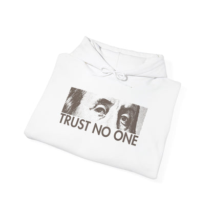 Retro 4 Cave Stone and Black Hoodie- Trust No one