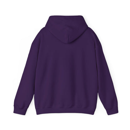 Foamposite Galaxy -  Necessary Evils Hoodie