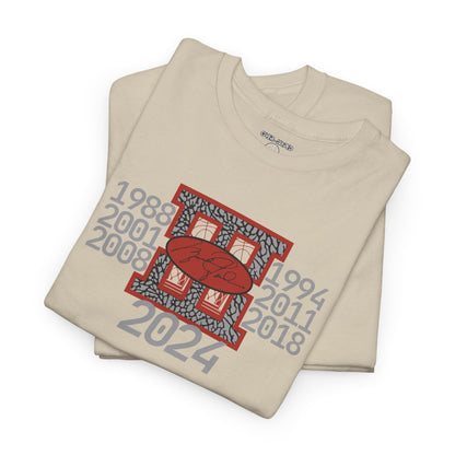 Retro 3 Black cement/ White Cement 88 To 24 Shirt