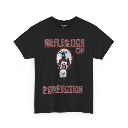 Retro 3 Black Cement / White Cement  Reflection of Perfectioon Shirt
