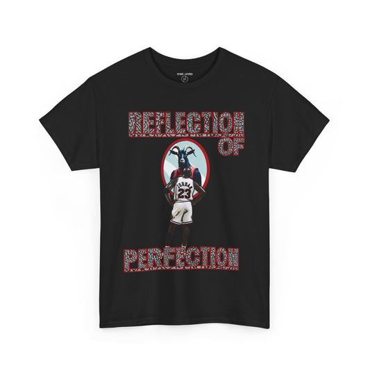 Retro 3 Black Cement / White Cement  Reflection of Perfectioon Shirt